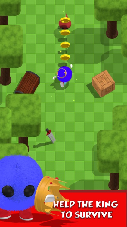 The Royal Run