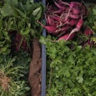 Baltimore Farmers Markets - Organic And Fresh Food