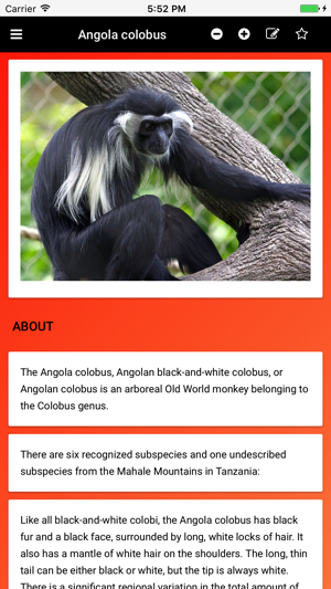 Primate Species: Monkeys, Gorillas, & Macaques(圖2)-速報App