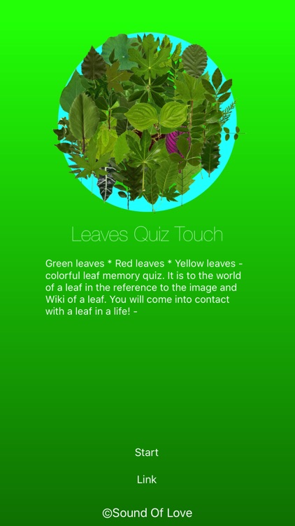 Leaves Quiz Touch screenshot-4