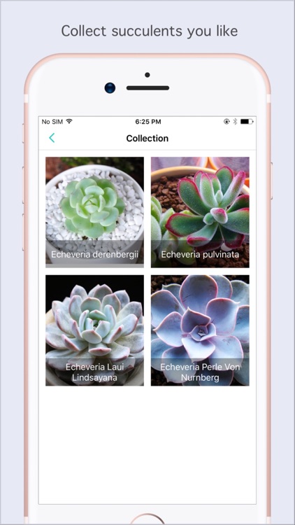 Succulent Album Pro - Help You Know Succulents