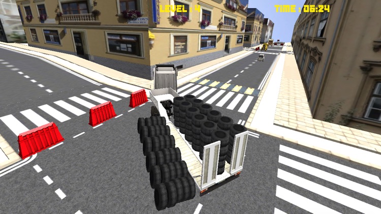 Driver Truck Cargo 3D