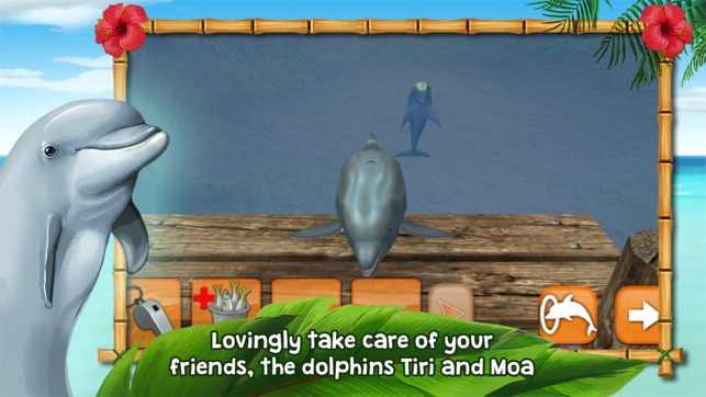 Dolphins of the Caribbean(圖4)-速報App