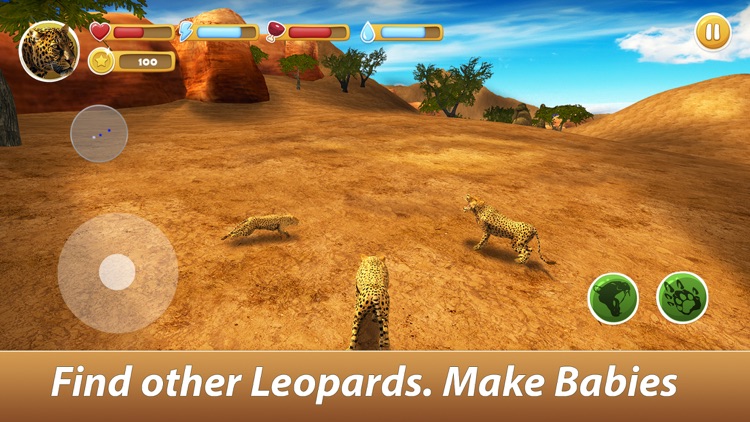 Leopard Family Simulator