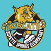 BSE Bobcats