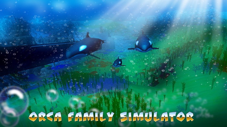 Orca Family Simulator