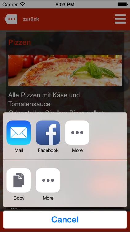 City Pizza Halle screenshot-4