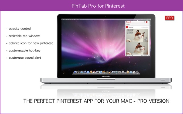 PinTab Pro for Pinterest(圖5)-速報App