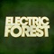 The official app for Electric Forest 2017, which will take place on two distinct and back-to-back weekends – June 22 - 25 and June 29 - July 2, 2017