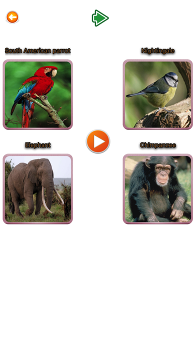 How to cancel & delete Animal Finger Family Songs & More Nursery Rhymes from iphone & ipad 2