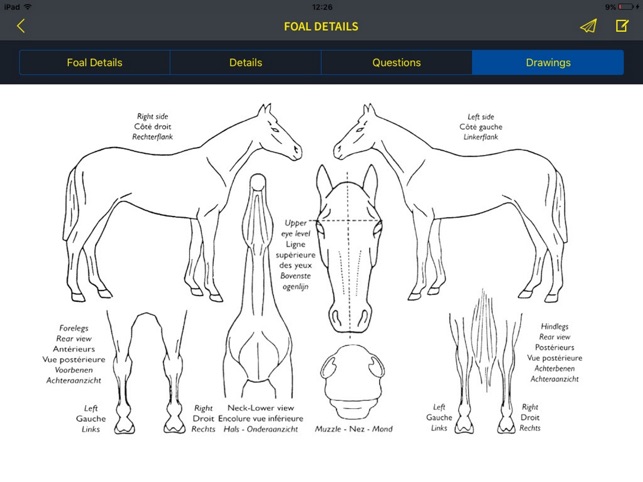 Zangersheide Horse Identification by equicty(圖2)-速報App