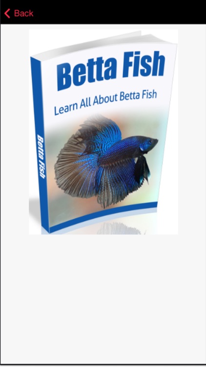 Betta Fish Care - Tips for Raising a Healthy Betta