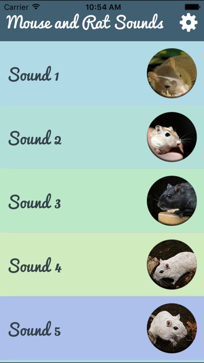 Mouse and Rat Sounds