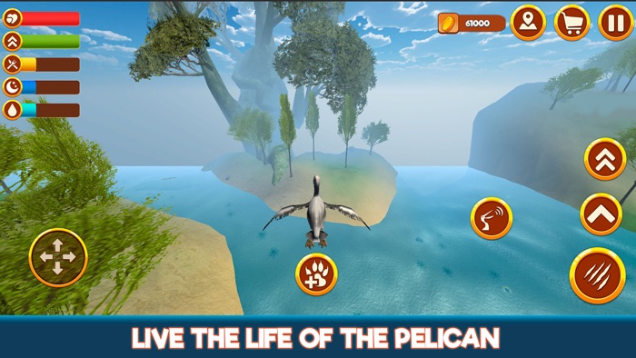 Wild Pelican Simulator Sea Bird Life 3D