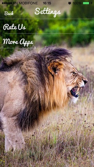 Lion Sounds - Lion Roaring, Lion Music(圖3)-速報App