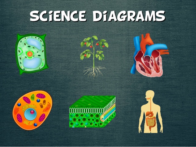 Science Diagrams(圖1)-速報App