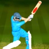 Cricket 2D