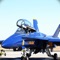 Icon Navy Fighter Jet Plane Simulator