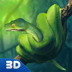 Activities of Python Snake Survival Simulator