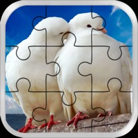 Love Bird Jigsaw Puzzle paradise : Train The Brain apk