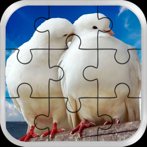 Love Bird Jigsaw Puzzle paradise : Train The Brain iOS App