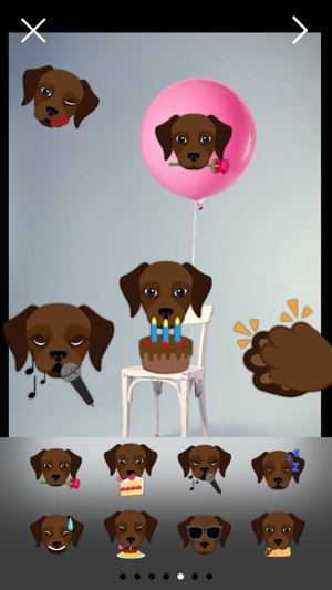 Dark Chocolate Labrador Photo Booth(圖2)-速報App