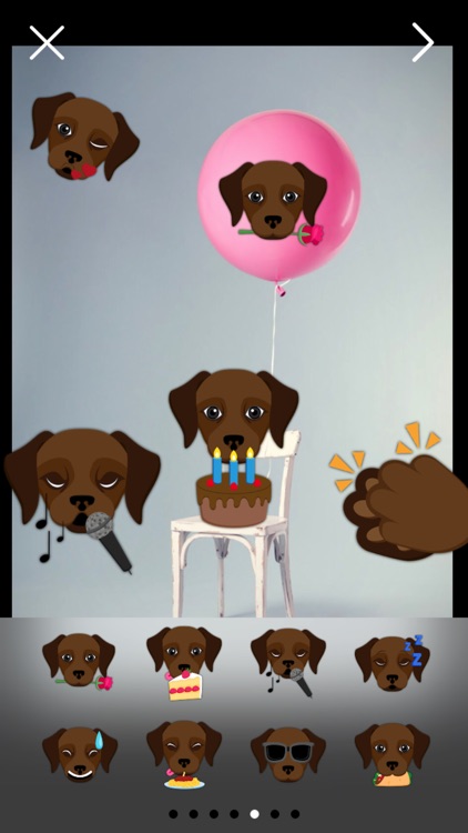 Dark Chocolate Labrador Photo Booth