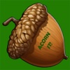 Acorn It