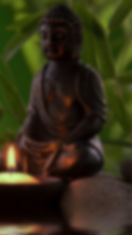 Zen Mind, Healthy Mind