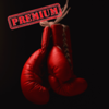 Razvan Iftinca - 20 Min Boxing Workout -  Train like a boxer Pro アートワーク