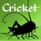 Cricket will delight your child with stories, comics, puzzles, games and more in each digital edition