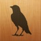 This game is similar to the classic ROOK® card game*