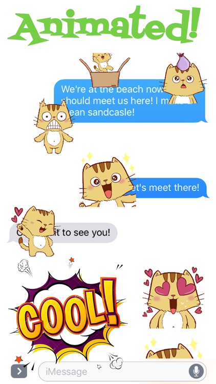 Funny Pipo Cat Animated