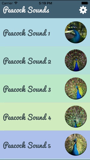 Peacock - Chirping Sounds(圖2)-速報App