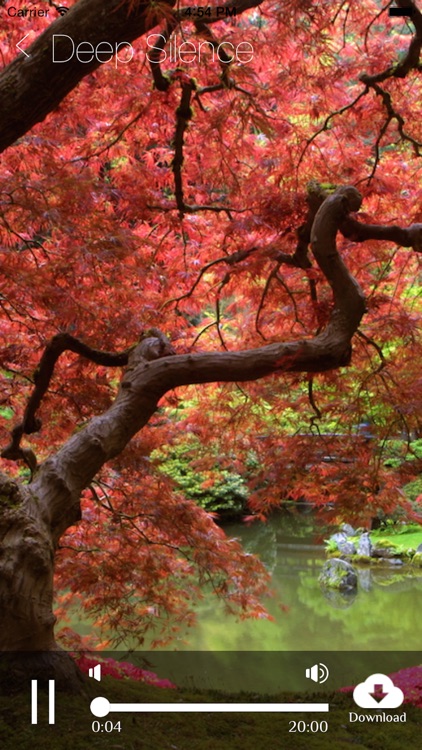 Meditate Me Guided Meditation