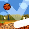 Spinner Balls - Basketball Challenge