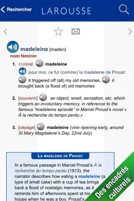 Game screenshot Grand Dictionnaire anglais-français Larousse hack