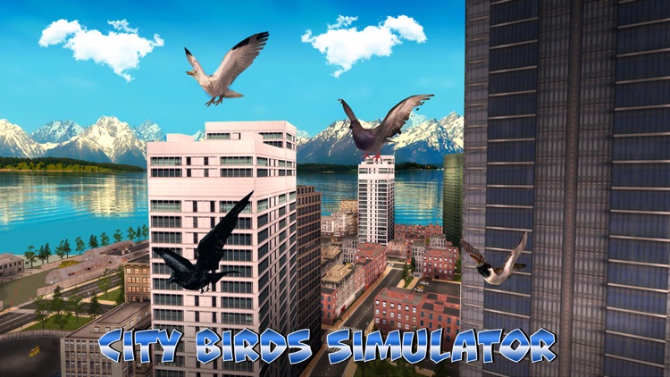 City Birds Simulator Full