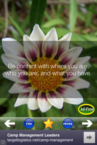 Daily Self Improvement Help and Positive Life Tips - náhled