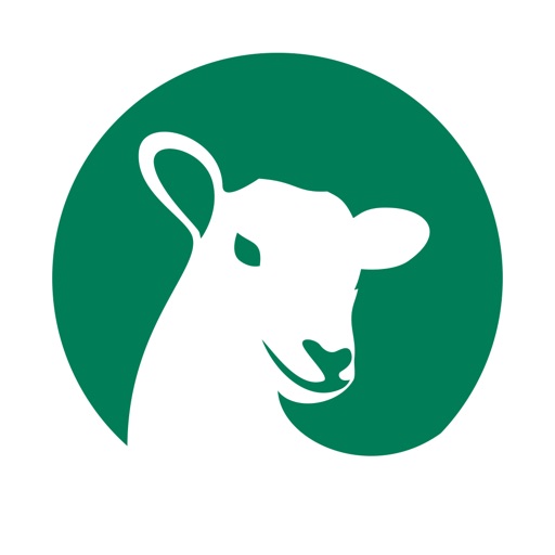 Lambing Planner iOS App