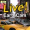 Download the app now and catch all the live action at the "Crossroads of the World"