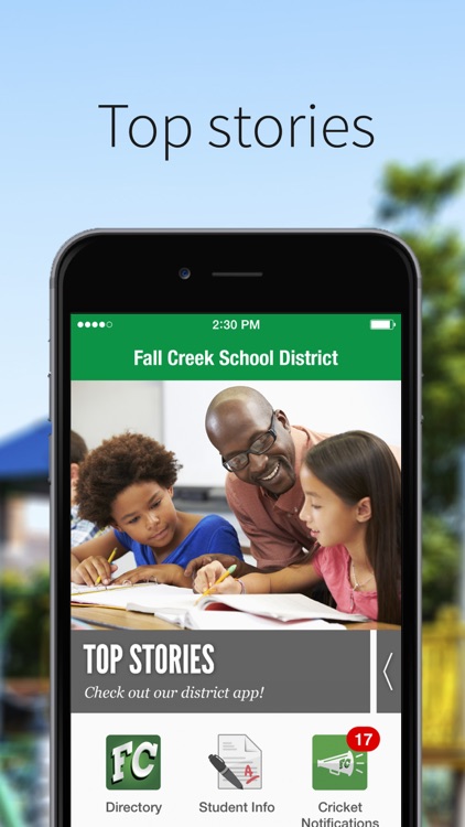 Fall Creek School District