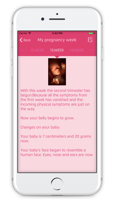 Pregnancy Week screenshot 3