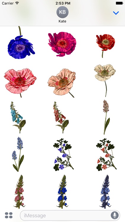 Botanical Flowers Stickers screenshot-3