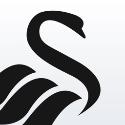 Swansea City Players icône