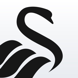 Swansea City Players