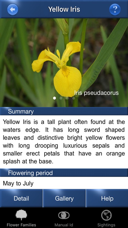 Wild Flower Id Automatic Recognition British Isles screenshot-3