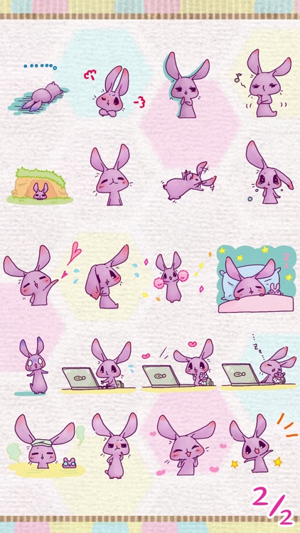 Purple Rabbit !