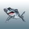 State of the art application to offer better service and information to all Robot Shark customers