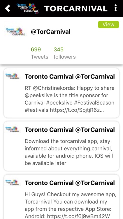 Torcarnival screenshot-3